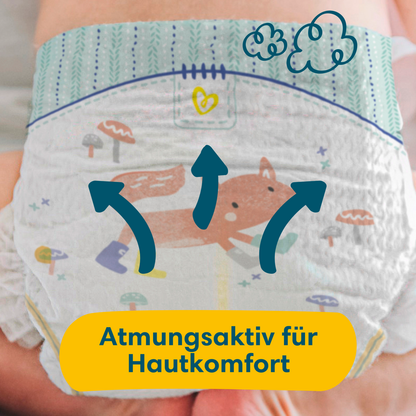 Pampers Premium Protection T6 XL 13+kg Box (144 pz)