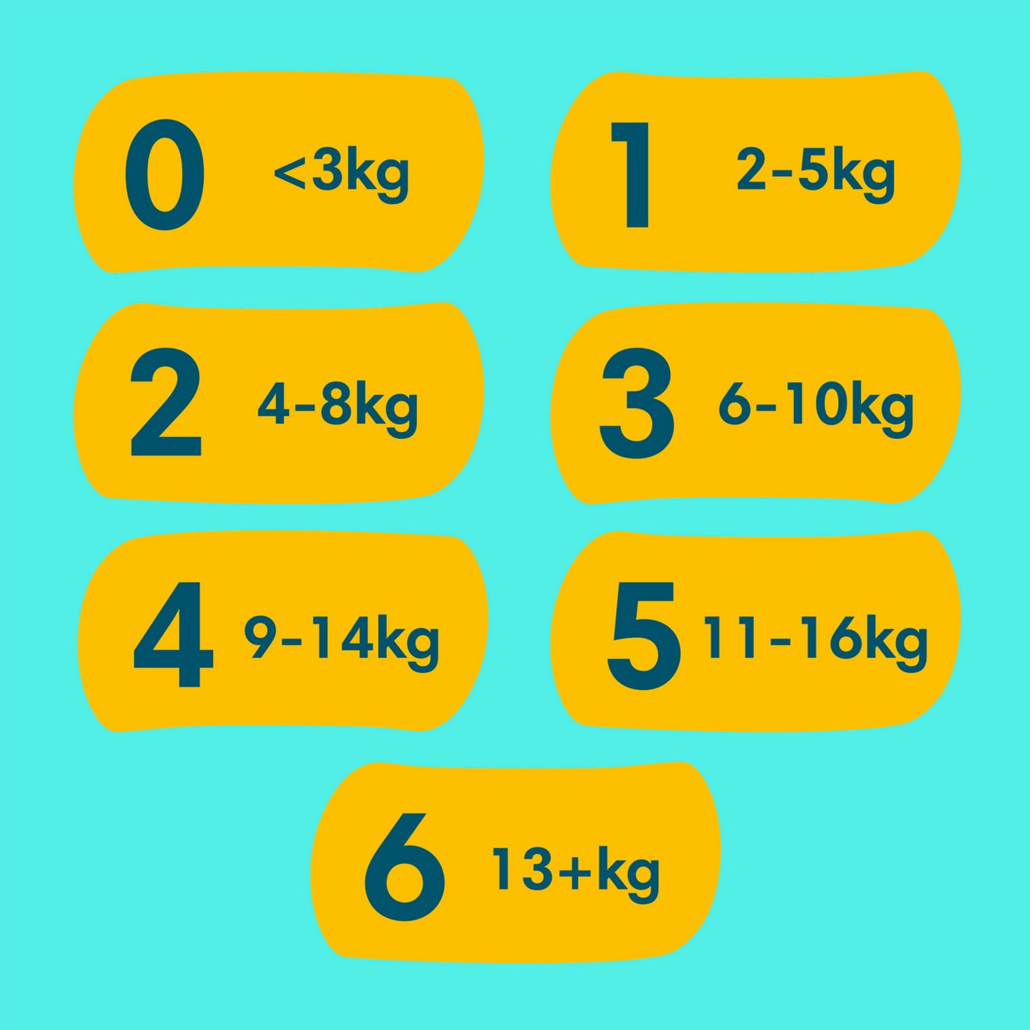 Pampers Premium Protection T6 XL 13+kg Box (144 pz)