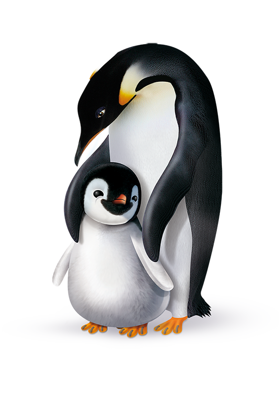 Pingo T6 XL (13-18 kg) double sac (2 x 32 pces)