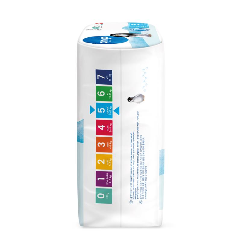 Pingo T5 Junior Box mensile (180 pz)